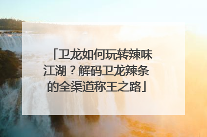卫龙如何玩转辣味江湖？解码卫龙辣条的全渠道称王之路