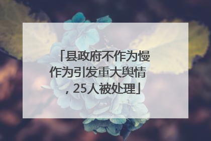 县政府不作为慢作为引发重大舆情，25人被处理
