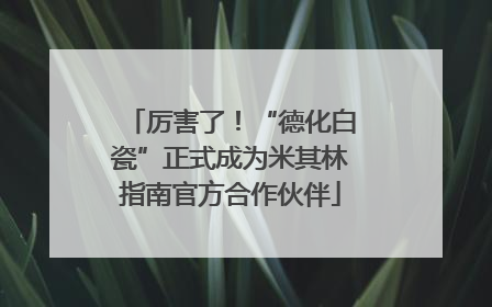 厉害了！“德化白瓷”正式成为米其林指南官方合作伙伴
