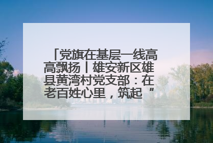 党旗在基层一线高高飘扬丨雄安新区雄县黄湾村党支部：在老百姓心里，筑起“一座山”