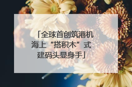 全球首创筑港机海上“搭积木”式建码头显身手
