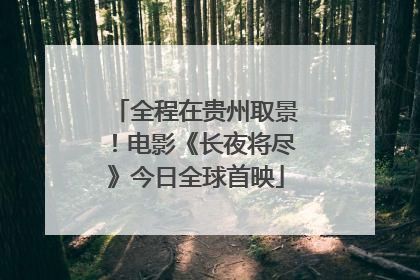全程在贵州取景！电影《长夜将尽》今日全球首映