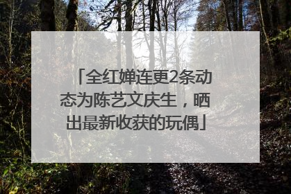 全红婵连更2条动态为陈艺文庆生，晒出最新收获的玩偶