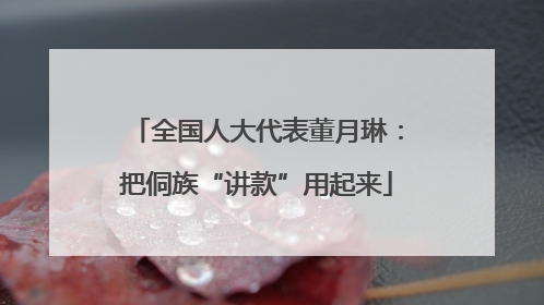 全国人大代表董月琳：把侗族“讲款”用起来