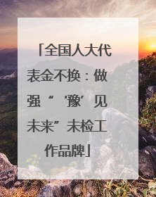 全国人大代表金不换：做强“‘豫’见未来”未检工作品牌