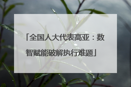 全国人大代表高亚：数智赋能破解执行难题