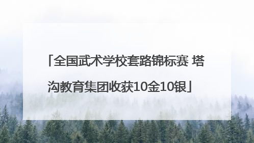 全国武术学校套路锦标赛 塔沟教育集团收获10金10银
