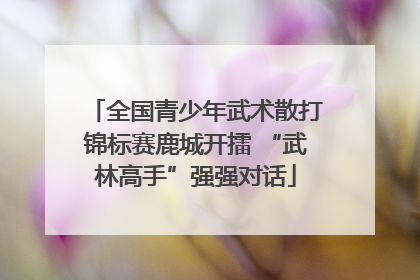 全国青少年武术散打锦标赛鹿城开擂 “武林高手”强强对话