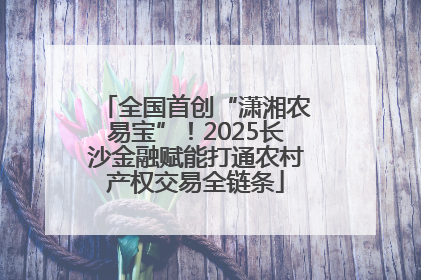 全国首创“潇湘农易宝”！2025长沙金融赋能打通农村产权交易全链条