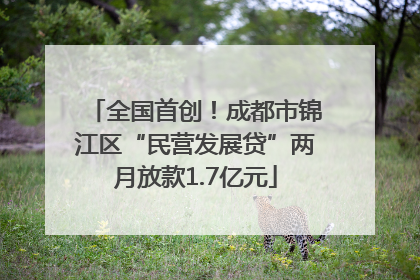全国首创！成都市锦江区“民营发展贷”两月放款1.7亿元