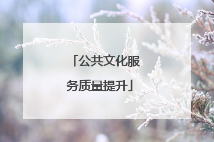 公共文化服务质量提升