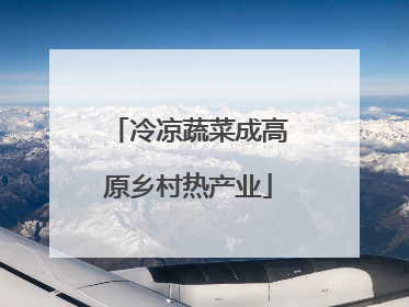 冷凉蔬菜成高原乡村热产业