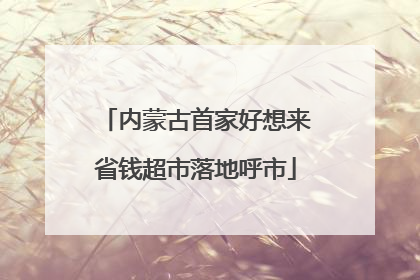内蒙古首家好想来省钱超市落地呼市