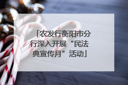 农发行衡阳市分行深入开展“民法典宣传月”活动