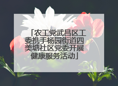 农工党武昌区工委携手杨园街道四美塘社区党委开展健康服务活动