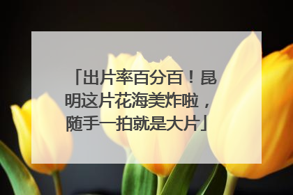 出片率百分百！昆明这片花海美炸啦，随手一拍就是大片