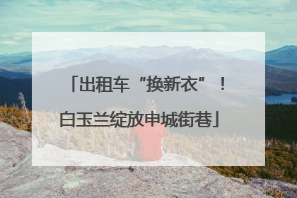 出租车“换新衣”！白玉兰绽放申城街巷
