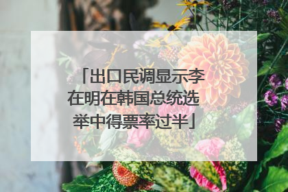 出口民调显示李在明在韩国总统选举中得票率过半
