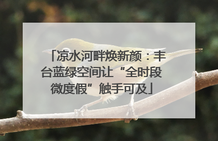 凉水河畔焕新颜：丰台蓝绿空间让“全时段微度假”触手可及