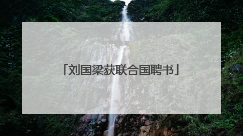 刘国梁获联合国聘书