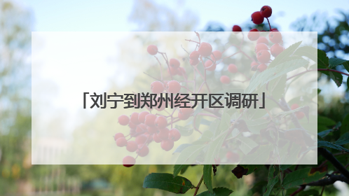 刘宁到郑州经开区调研