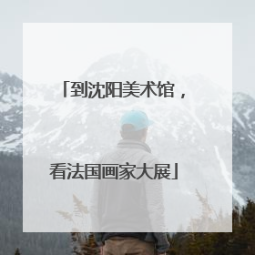 到沈阳美术馆，看法国画家大展