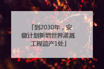 到2030年，安徽计划新增世界灌溉工程遗产1处