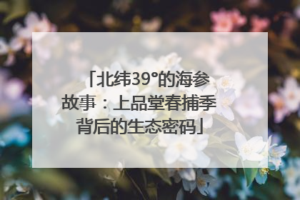 北纬39°的海参故事：上品堂春捕季背后的生态密码