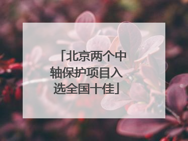 北京两个中轴保护项目入选全国十佳