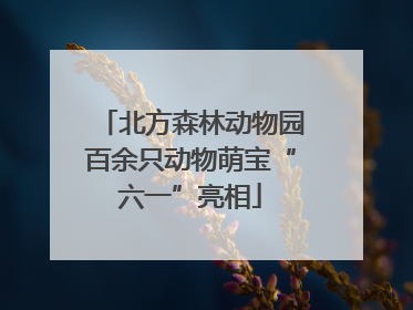 北方森林动物园百余只动物萌宝“六一”亮相