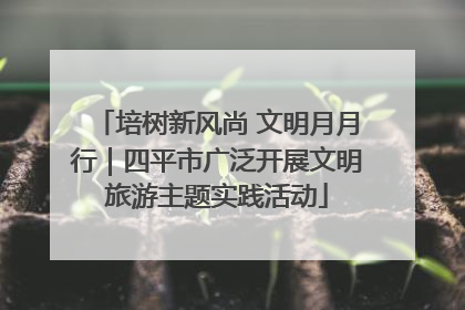 培树新风尚 文明月月行｜四平市广泛开展文明旅游主题实践活动