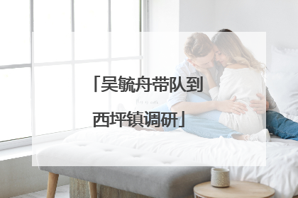 吴毓舟带队到西坪镇调研