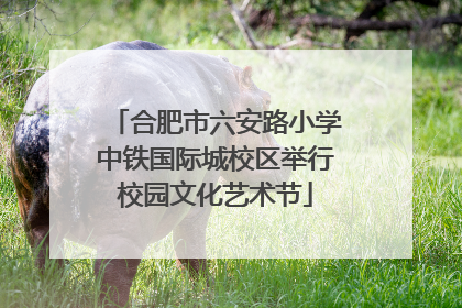 合肥市六安路小学中铁国际城校区举行校园文化艺术节
