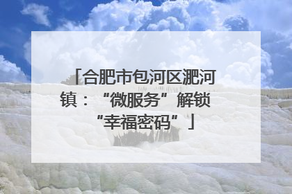 合肥市包河区淝河镇：“微服务”解锁“幸福密码”