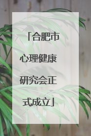 合肥市心理健康研究会正式成立