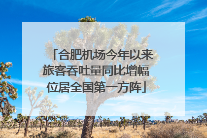 合肥机场今年以来旅客吞吐量同比增幅位居全国第一方阵