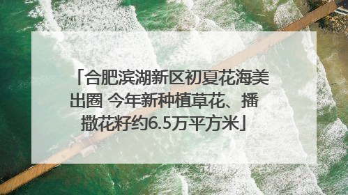 合肥滨湖新区初夏花海美出圈 今年新种植草花、播撒花籽约6.5万平方米