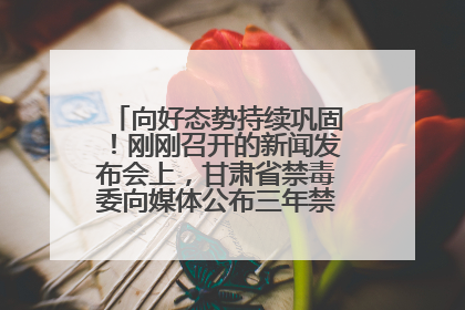 向好态势持续巩固！刚刚召开的新闻发布会上，甘肃省禁毒委向媒体公布三年禁毒工作“成绩单”