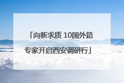 向新求质 10国外籍专家开启西安调研行