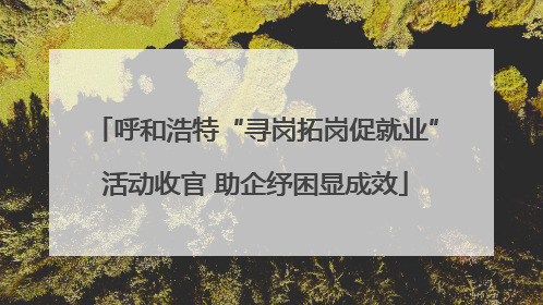 呼和浩特“寻岗拓岗促就业”活动收官 助企纾困显成效