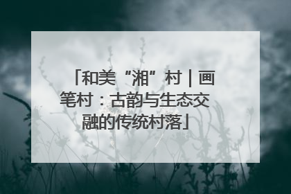 和美“湘”村｜画笔村：古韵与生态交融的传统村落