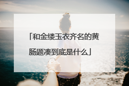 和金缕玉衣齐名的黄肠题凑到底是什么