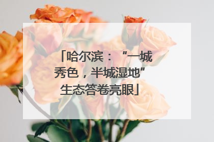 哈尔滨：“一城秀色，半城湿地”生态答卷亮眼