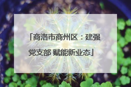 商洛市商州区：建强党支部 赋能新业态