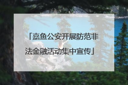 嘉鱼公安开展防范非法金融活动集中宣传