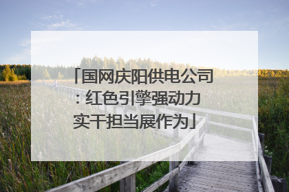 国网庆阳供电公司：红色引擎强动力 实干担当展作为