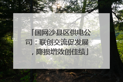 国网沙县区供电公司：联创交流促发展，降损增效创佳绩