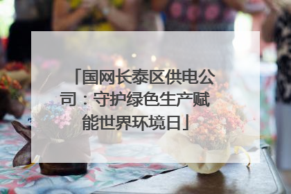 国网长泰区供电公司：守护绿色生产赋能世界环境日