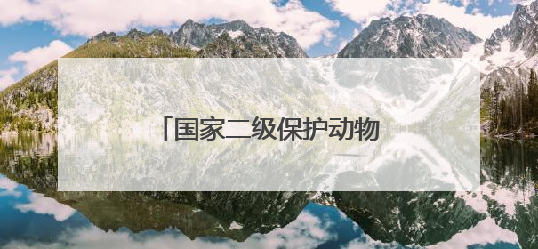 国家二级保护动物赤狐在民乐县锯条山林场产崽“安家”