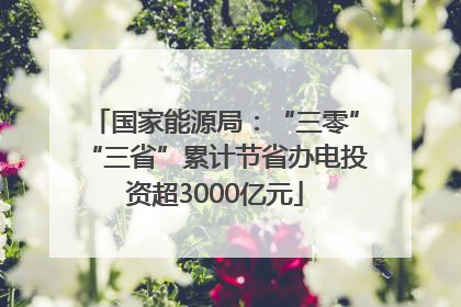 国家能源局：“三零”“三省”累计节省办电投资超3000亿元